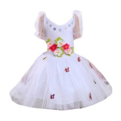 White Ballet Dance Dress Girls Princess Costume Dress Butterfly Ballet Tutu Skirt