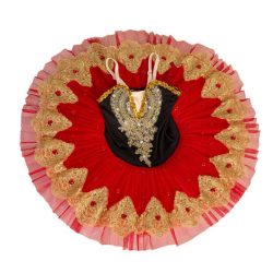 Black Red Ballet Dance Dress Girls Swan Costume Dress Golden Embroidery Sequin Ballet Tutu Skirt