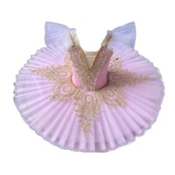 Pink Girls Ballet Tutu Dance Dress Kids Swan Dancing Costume Embroidery Sequin Ballet Gauze Skirt