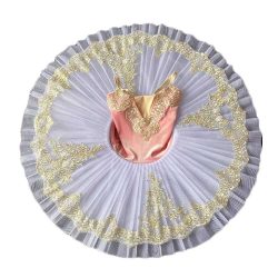 Girls Ballet Tutu Dress Pink Kids Embroidery Sequin Ballet Dance Gauze Skirt Swan Dancing Costume
