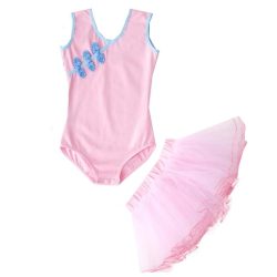 Girls Ballet Dance Leotard Chinese Dance Ballet Skirt Practice Dress Set, Pink